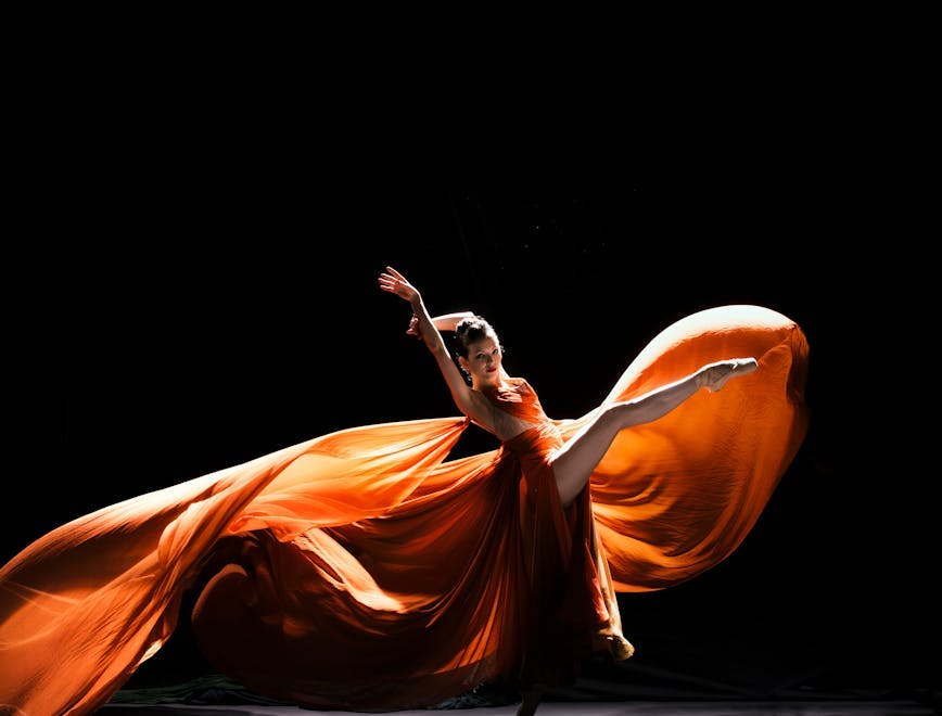 ballet v vl firebird studio dance pose leisure activities performer person human dance flamenco