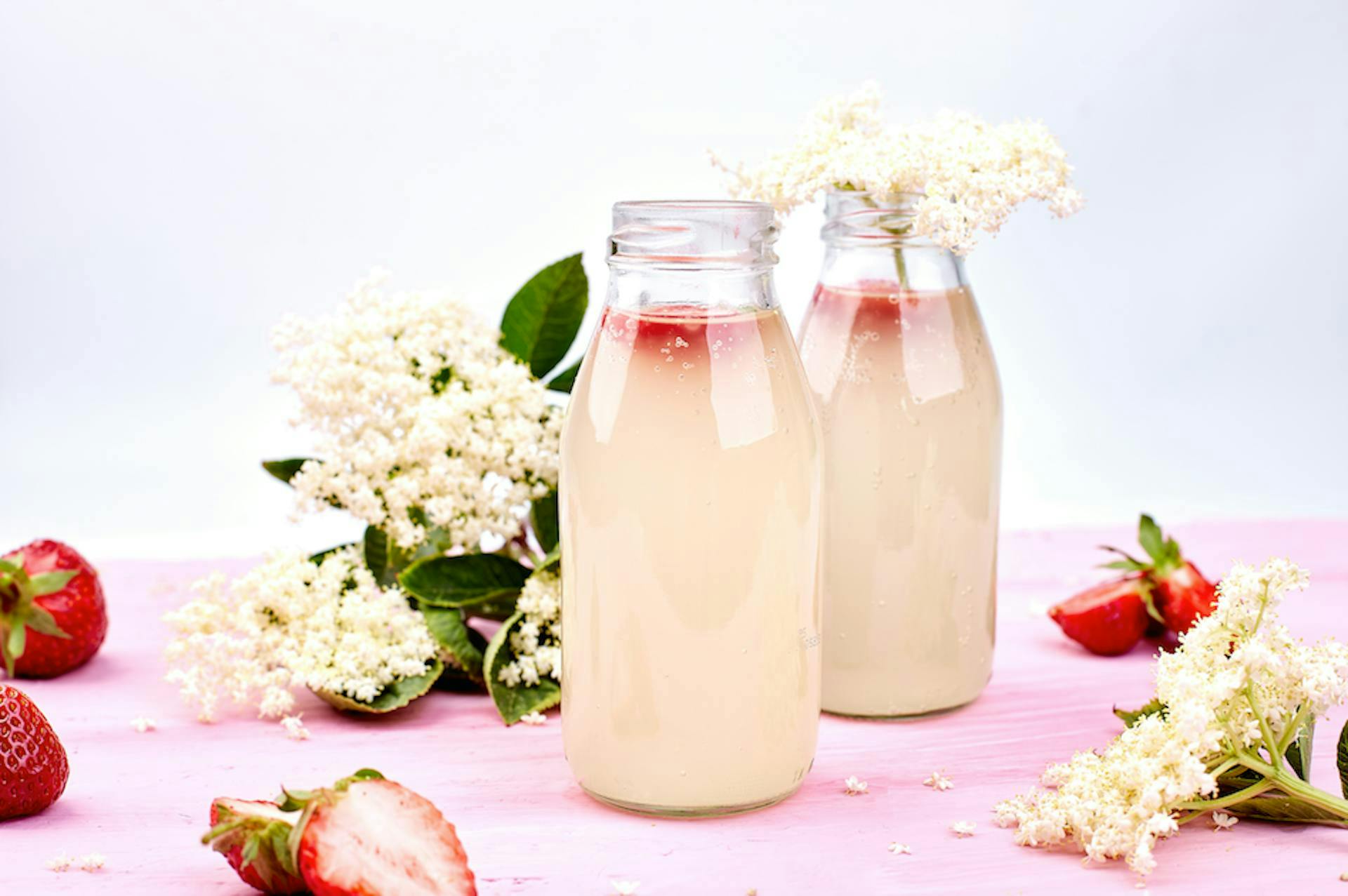 milk beverage drink plant