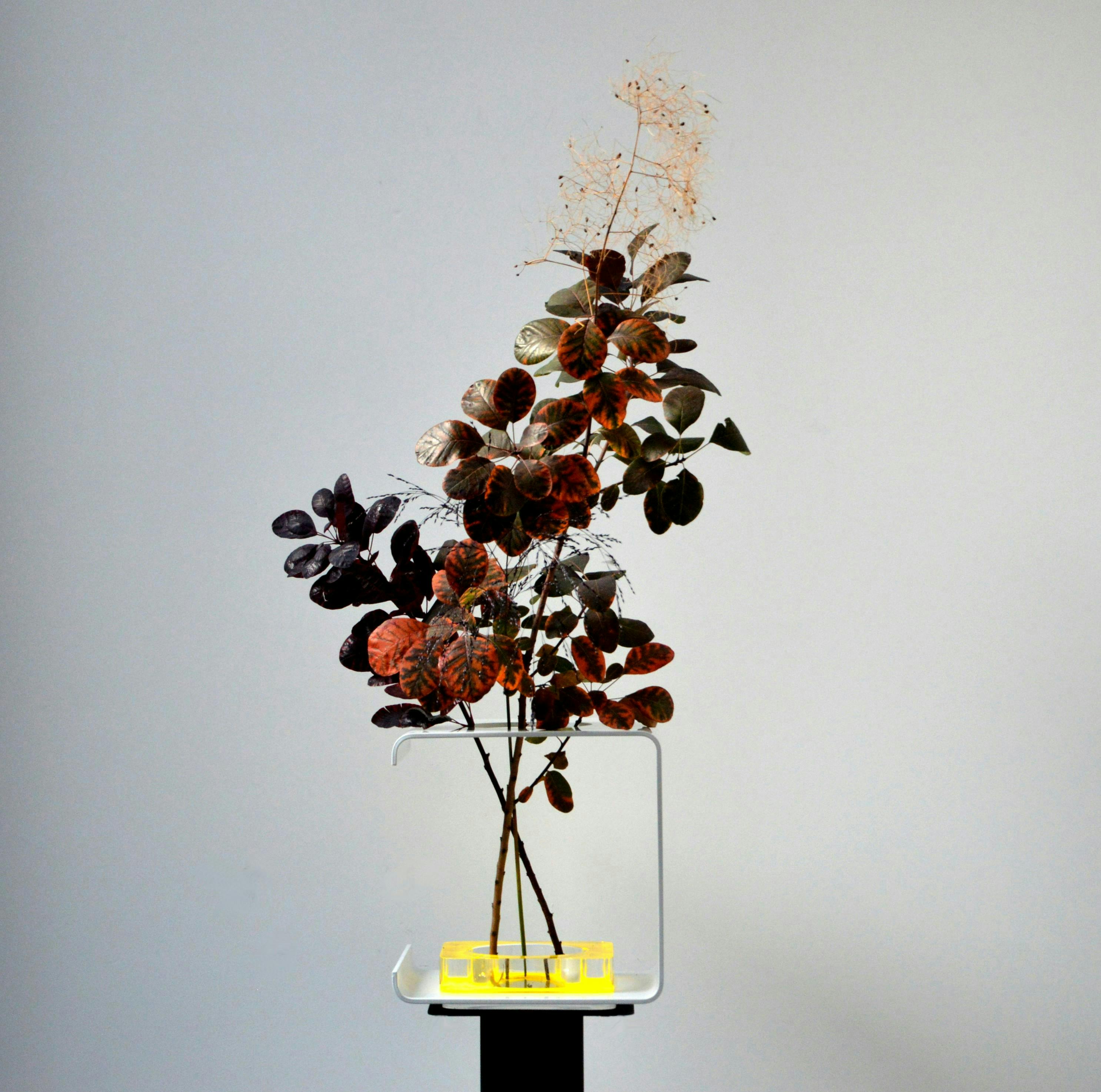 plant ikebana vase jar pottery flower arrangement ornament flower leaf tree