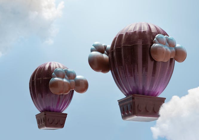 hot air balloon vehicle transportation aircraft