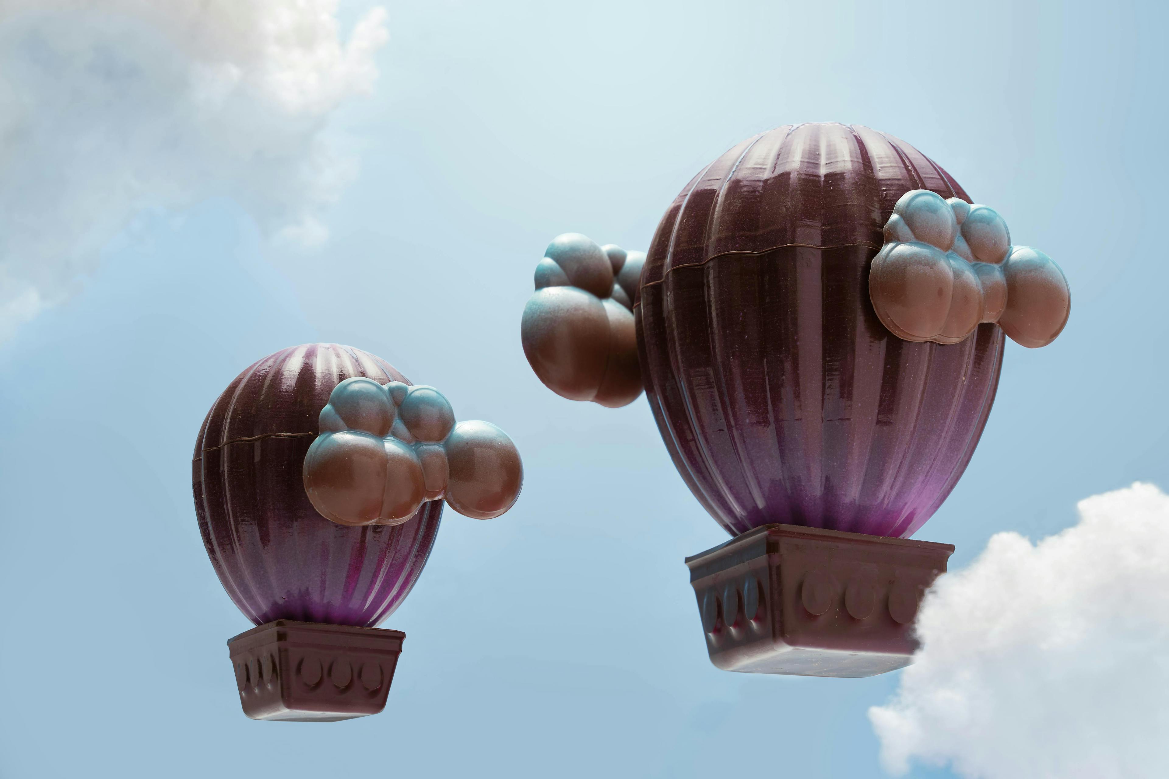 hot air balloon vehicle transportation aircraft