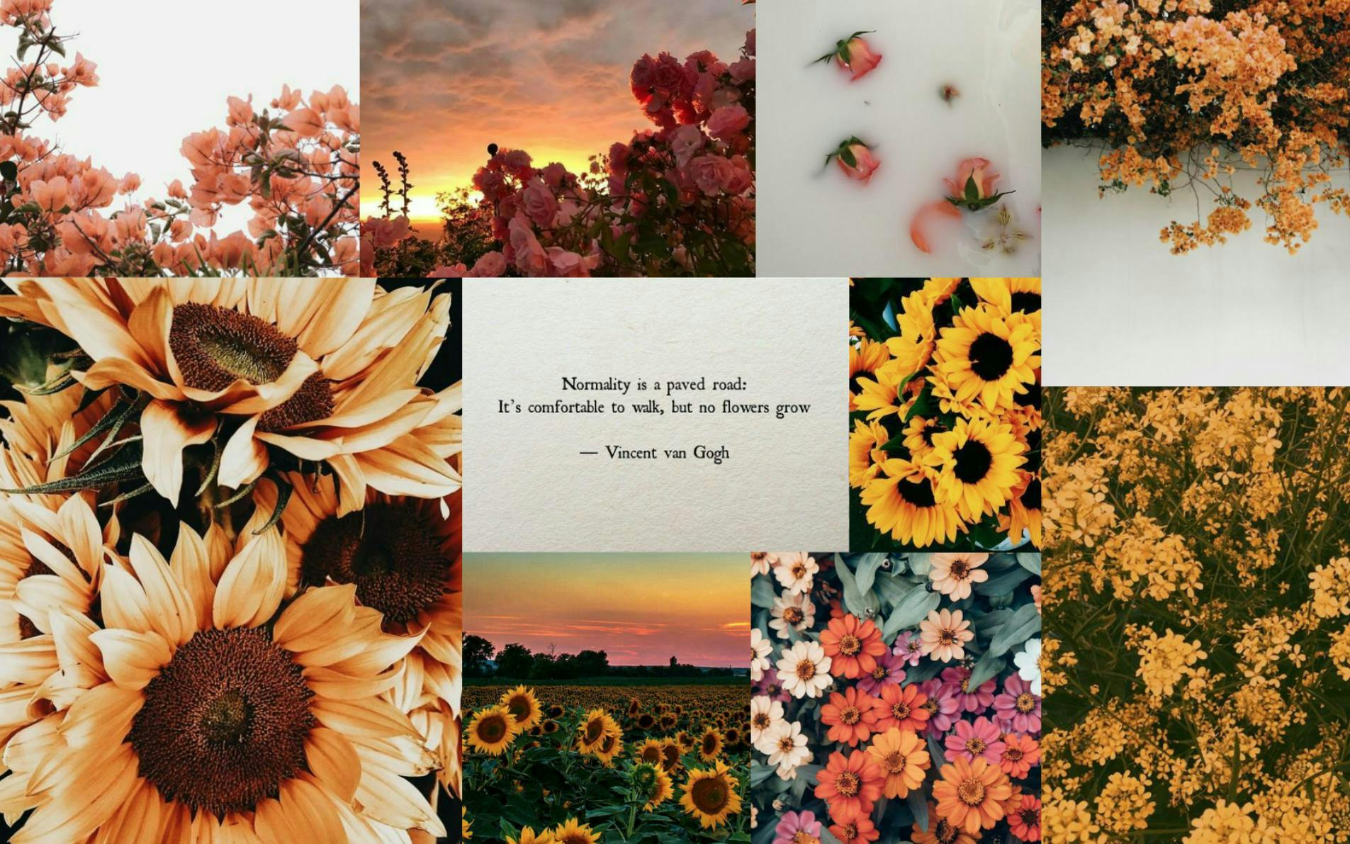 art collage daisy flower plant petal business card text sunflower outdoors